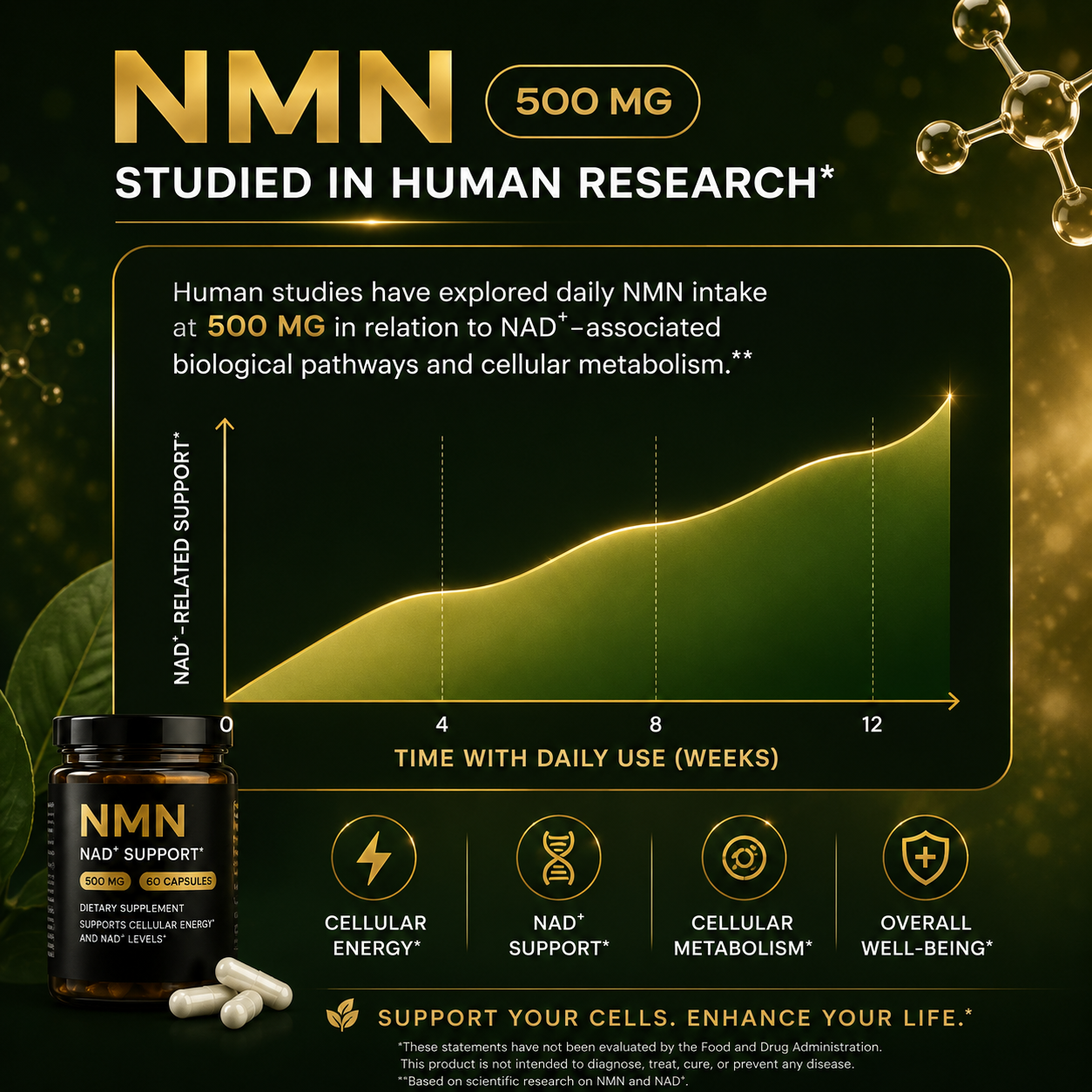 NMN NAD+ Support Complex