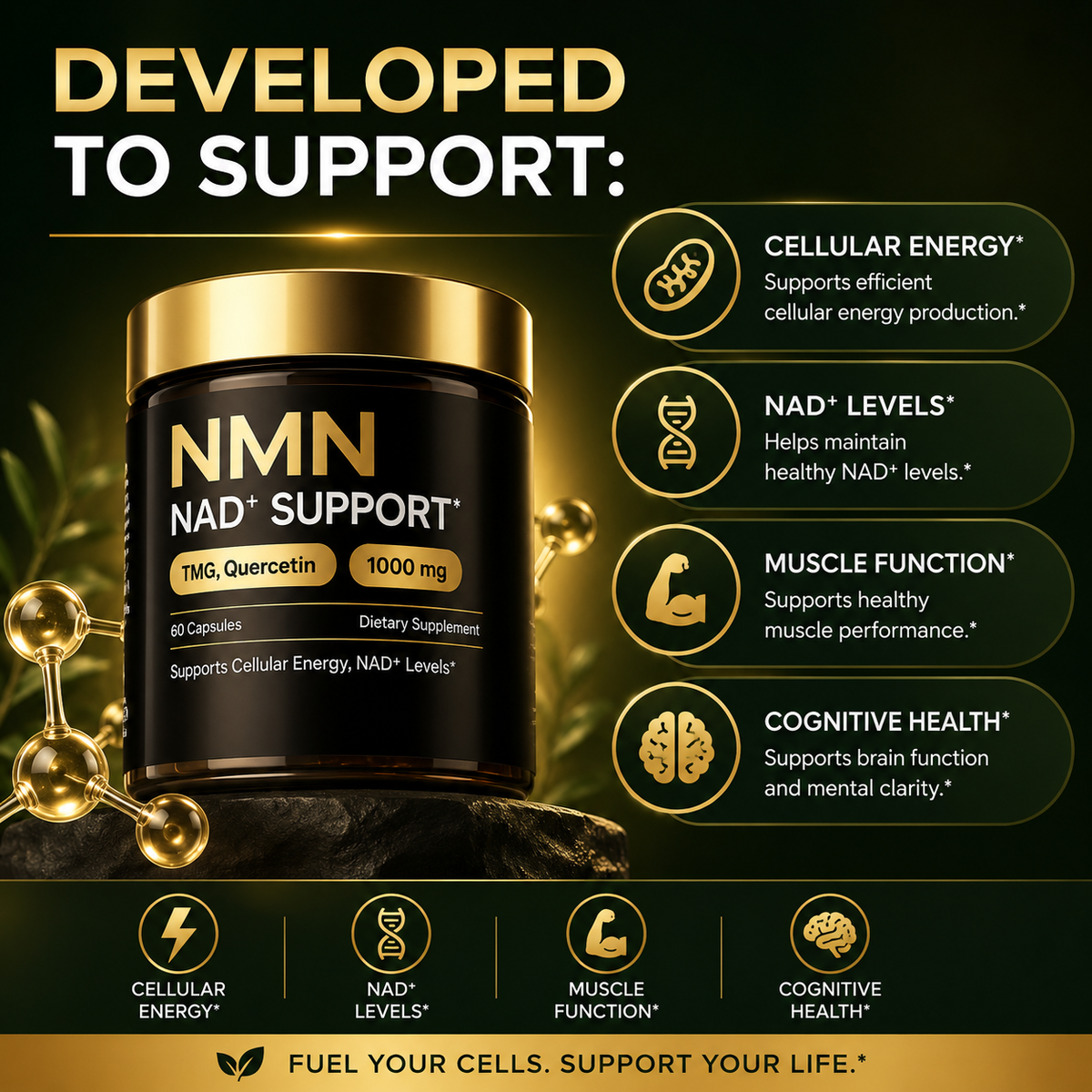 NMN NAD+ Support Complex