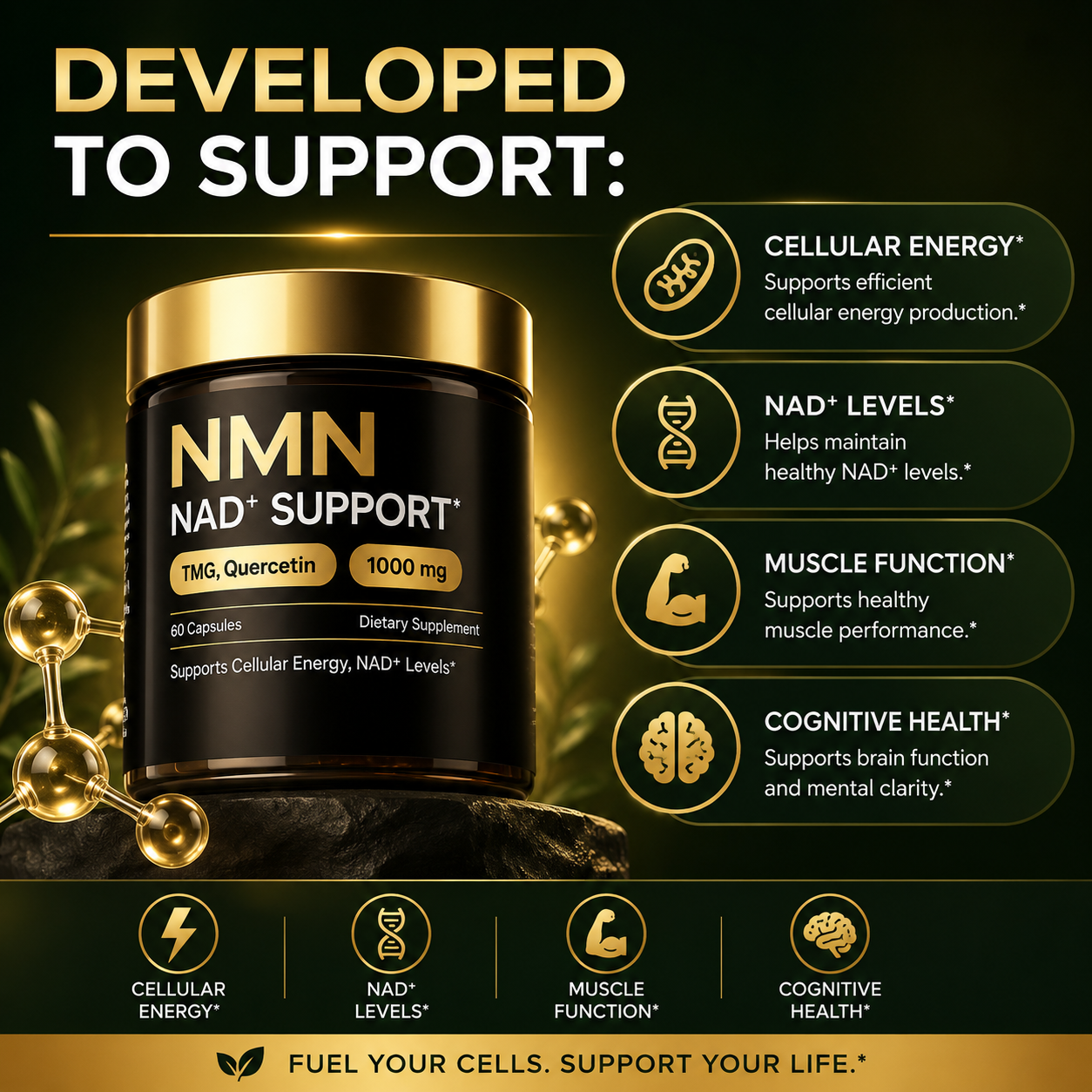 NMN NAD+ Support Complex